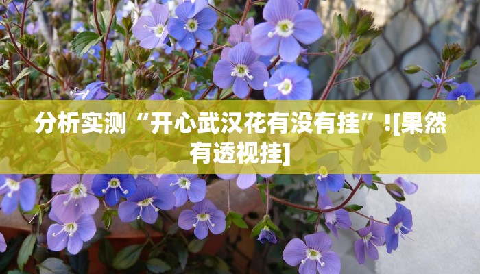 分析实测“开心武汉花有没有挂”![果然有透视挂]
