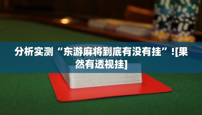 分析实测“东游麻将到底有没有挂”![果然有透视挂]
