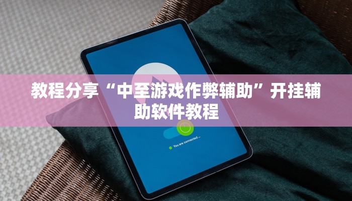 教程分享“中至游戏作弊辅助”开挂辅助软件教程
