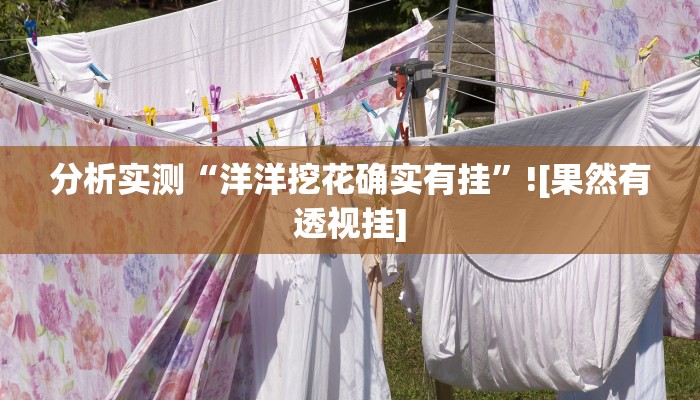 分析实测“洋洋挖花确实有挂”![果然有透视挂]