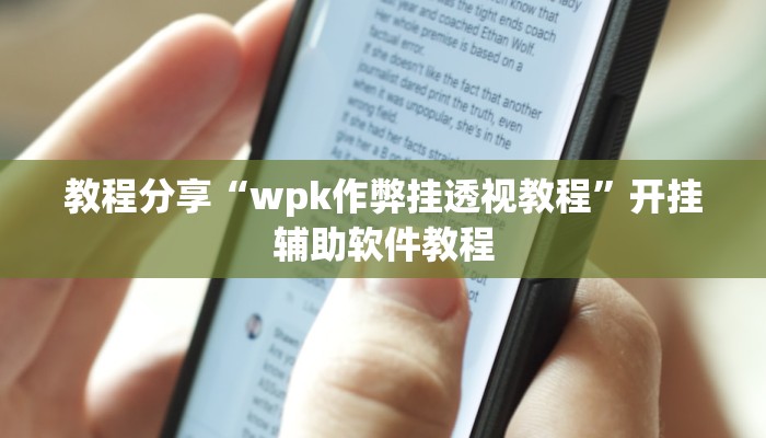 教程分享“wpk作弊挂透视教程”开挂辅助软件教程
