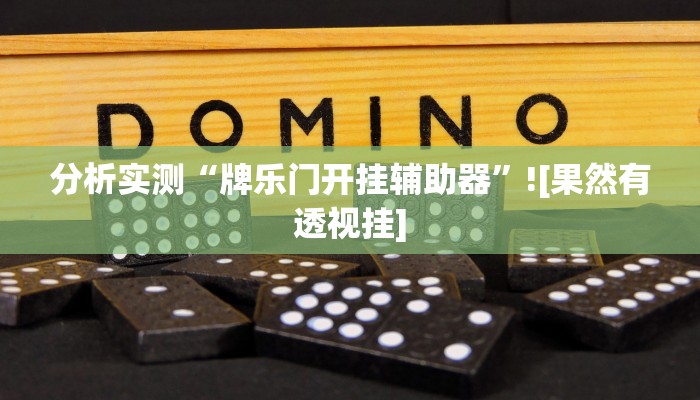 分析实测“牌乐门开挂辅助器”![果然有透视挂]