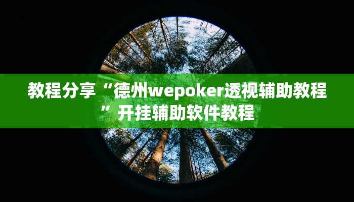 教程分享“德州wepoker透视辅助教程”开挂辅助软件教程
