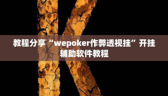 教程分享“wepoker作弊透视挂”开挂辅助软件教程