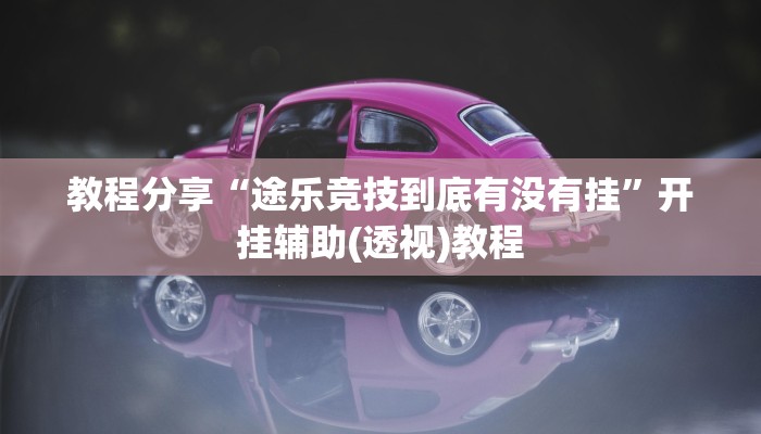 教程分享“途乐竞技到底有没有挂”开挂辅助(透视)教程