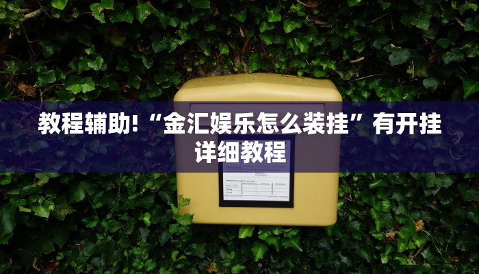 教程辅助!“金汇娱乐怎么装挂”有开挂详细教程
