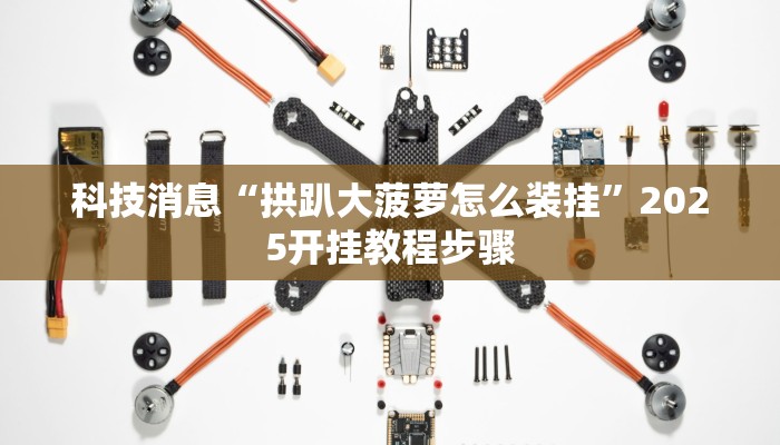 科技消息“拱趴大菠萝怎么装挂”2025开挂教程步骤