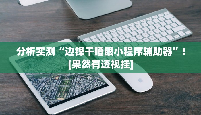 分析实测“边锋干瞪眼小程序辅助器”![果然有透视挂]