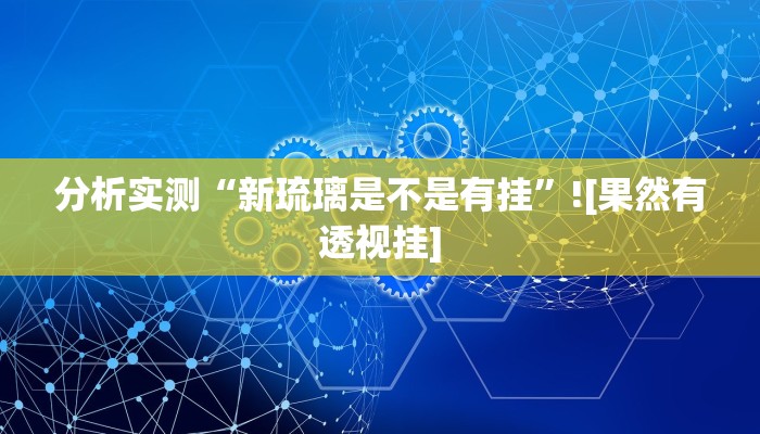 分析实测“新琉璃是不是有挂”![果然有透视挂]