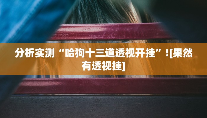 分析实测“哈狗十三道透视开挂”![果然有透视挂]