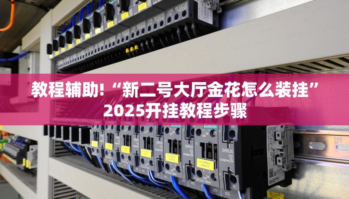 教程辅助!“新二号大厅金花怎么装挂”2025开挂教程步骤