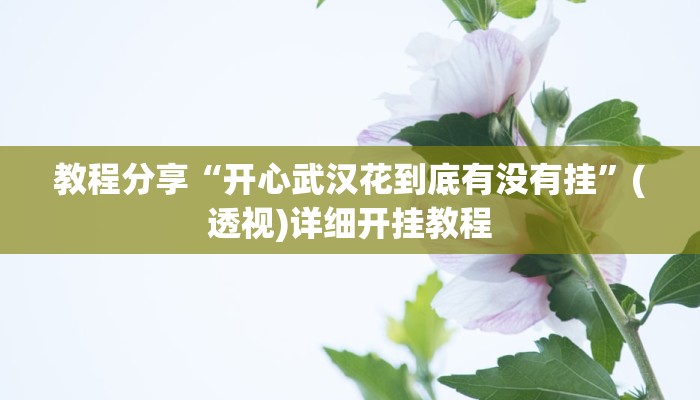 教程分享“开心武汉花到底有没有挂”(透视)详细开挂教程