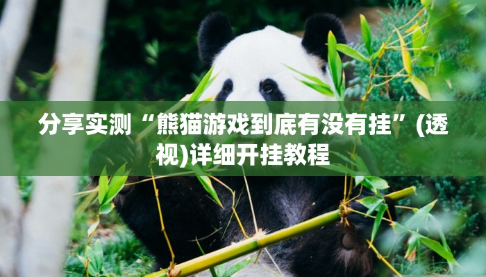 分享实测“熊猫游戏到底有没有挂”(透视)详细开挂教程