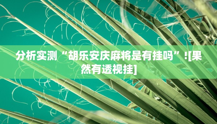 分析实测“胡乐安庆麻将是有挂吗”![果然有透视挂]