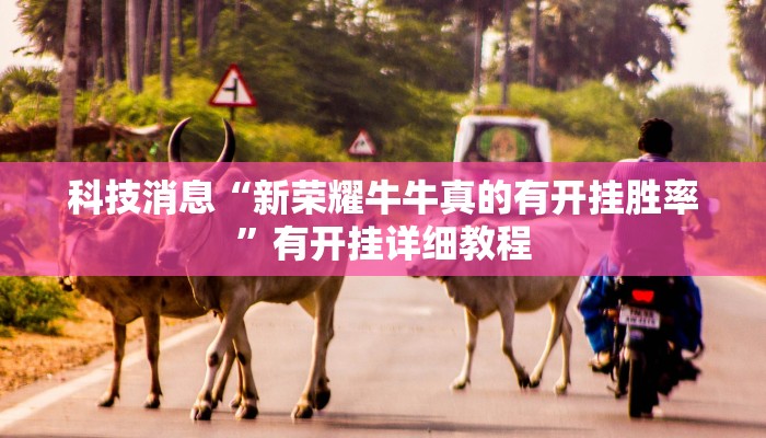 科技消息“新荣耀牛牛真的有开挂胜率”有开挂详细教程