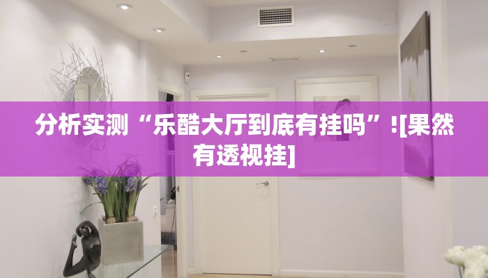 分析实测“乐酷大厅到底有挂吗”![果然有透视挂]