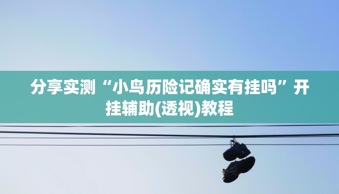 分享实测“小鸟历险记确实有挂吗”开挂辅助(透视)教程