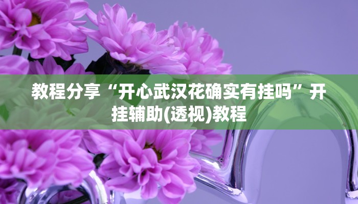 教程分享“开心武汉花确实有挂吗”开挂辅助(透视)教程