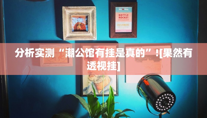 分析实测“潮公馆有挂是真的”![果然有透视挂]