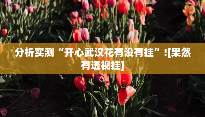 分析实测“开心武汉花有没有挂”![果然有透视挂]