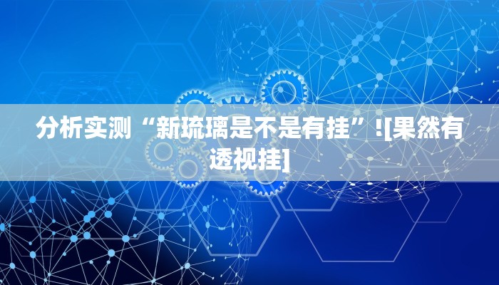 分析实测“新琉璃是不是有挂”![果然有透视挂]