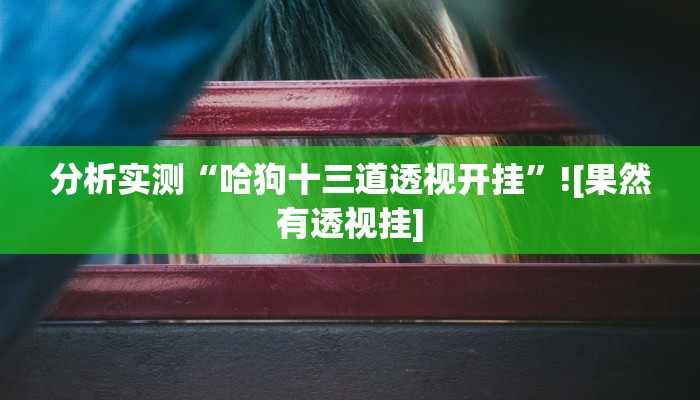 分析实测“哈狗十三道透视开挂”![果然有透视挂]