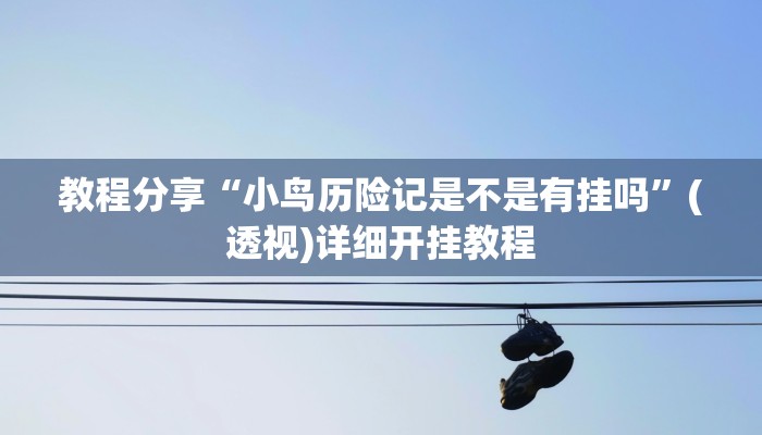 教程分享“小鸟历险记是不是有挂吗”(透视)详细开挂教程