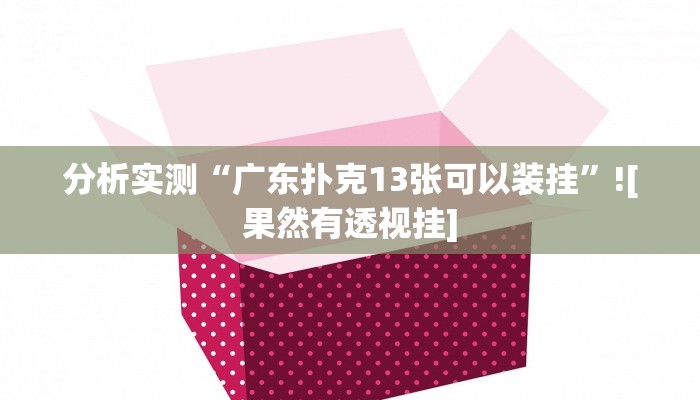 分析实测“广东扑克13张可以装挂”![果然有透视挂]