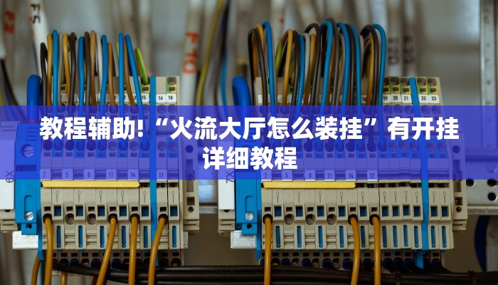 教程辅助!“火流大厅怎么装挂”有开挂详细教程