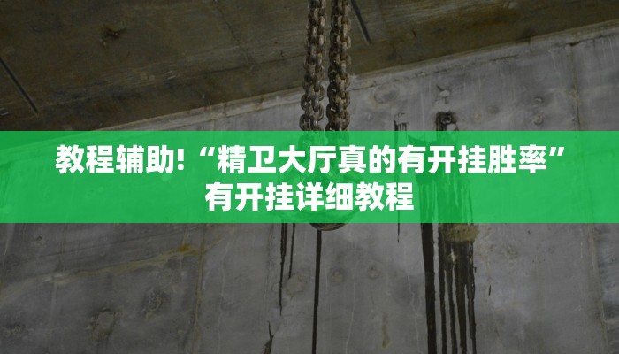 教程辅助!“精卫大厅真的有开挂胜率”有开挂详细教程