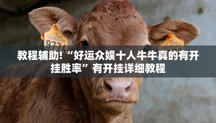 教程辅助!“好运众娱十人牛牛真的有开挂胜率”有开挂详细教程