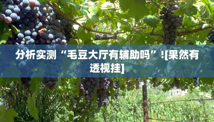 分析实测“毛豆大厅有辅助吗”![果然有透视挂]