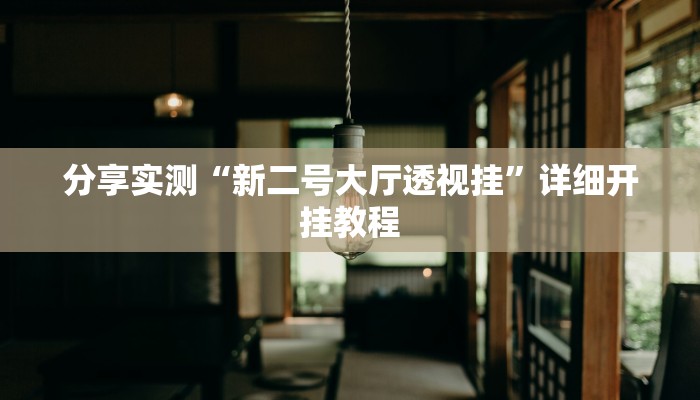 分享实测“新二号大厅透视挂”详细开挂教程