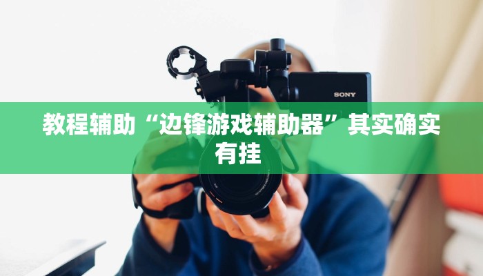 教程辅助“边锋游戏辅助器”其实确实有挂 