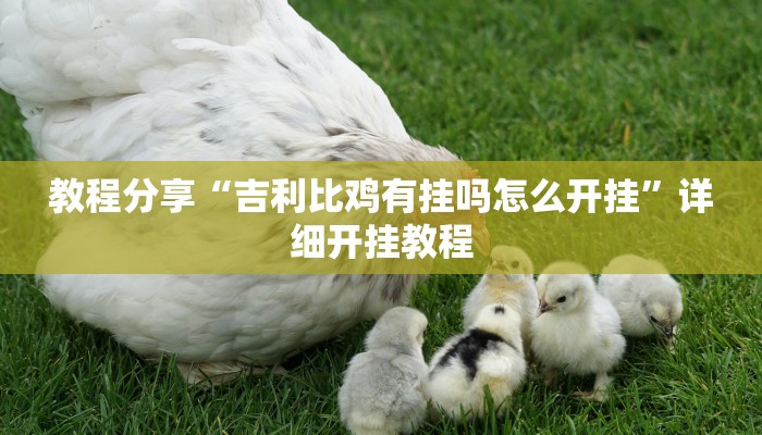 教程分享“吉利比鸡有挂吗怎么开挂”详细开挂教程