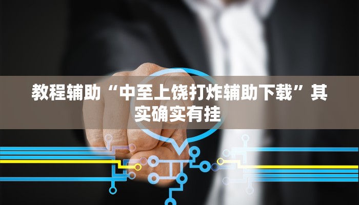 教程辅助“中至上饶打炸辅助下载”其实确实有挂 