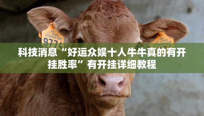 教程辅助“财神十三张开挂神器”其实确实有挂 教程辅助“财神十三张开挂神器”其实确实有挂