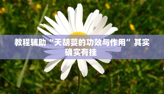 教程辅助!“捉住捣蛋鸡辅助开挂”有开挂详细教程