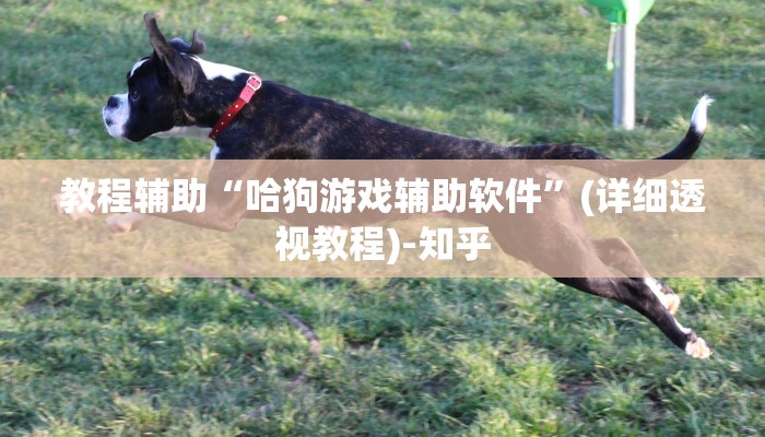 教程辅助!“天天麻将开挂方法”2025开挂教程步骤