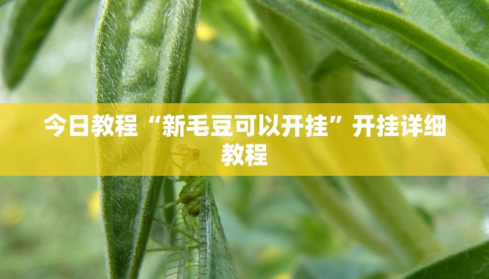 今日教程“新蜜瓜拼三张确实真的有挂”开挂详细教程