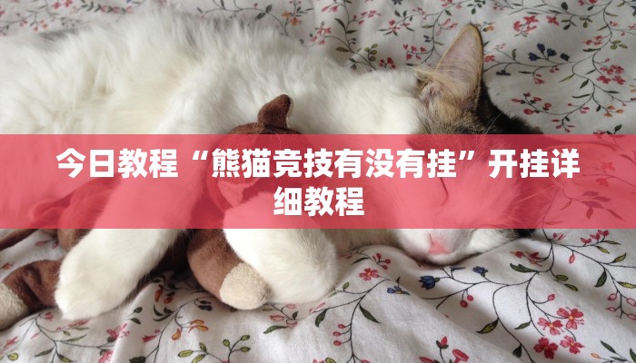 教程辅助“中至余干游戏作弊辅助”(详细透视教程)-知乎