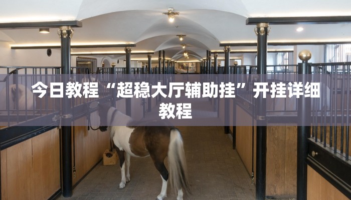 辅助神器“白金岛红拐弯可以开挂吗”其实确实有挂 