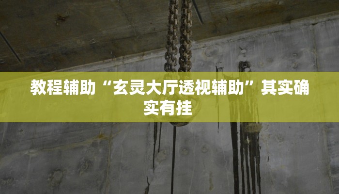 辅助神器“人海大厅开挂透视”(详细透视教程)-知乎