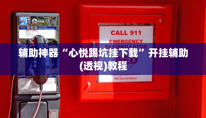 辅助神器“吉祥棋牌填大坑可以下挂吗”(详细透视教程)-知乎