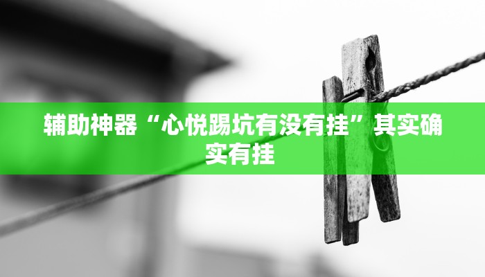 辅助神器“填大坑游戏其实是可以开挂”其实确实有挂