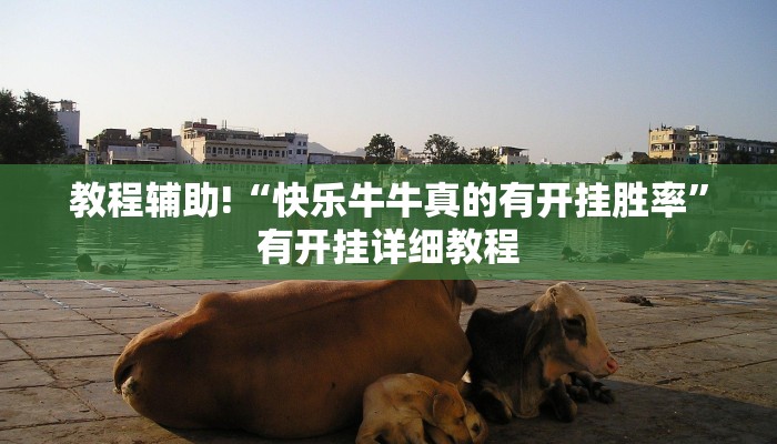 教程辅助“约战麻将有开挂神器吗”(详细透视教程)-知乎