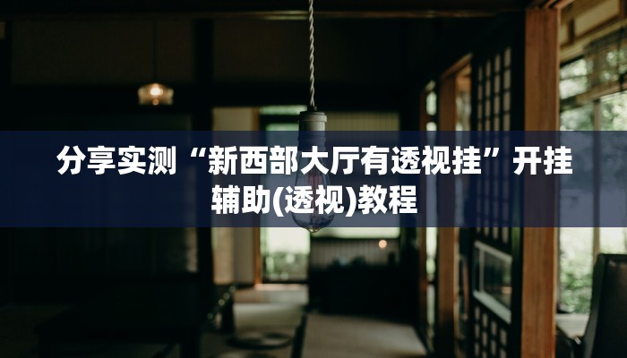 今日教程“Winner有没有辅助”开挂详细教程