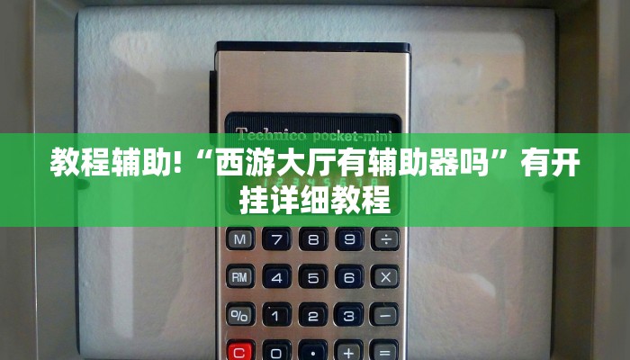 实操教程“新518互游透视辅助器”详细开挂玩法