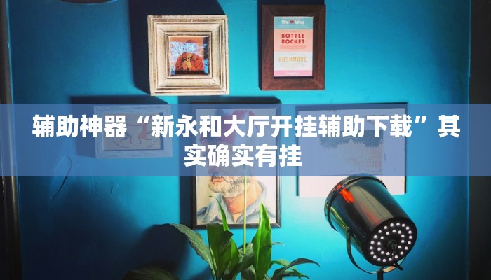 辅助神器“神兽大厅辅助挂”开挂辅助(透视)教程