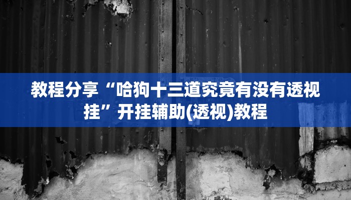 辅助神器“眉山二七十有挂吗”开挂辅助(透视)教程